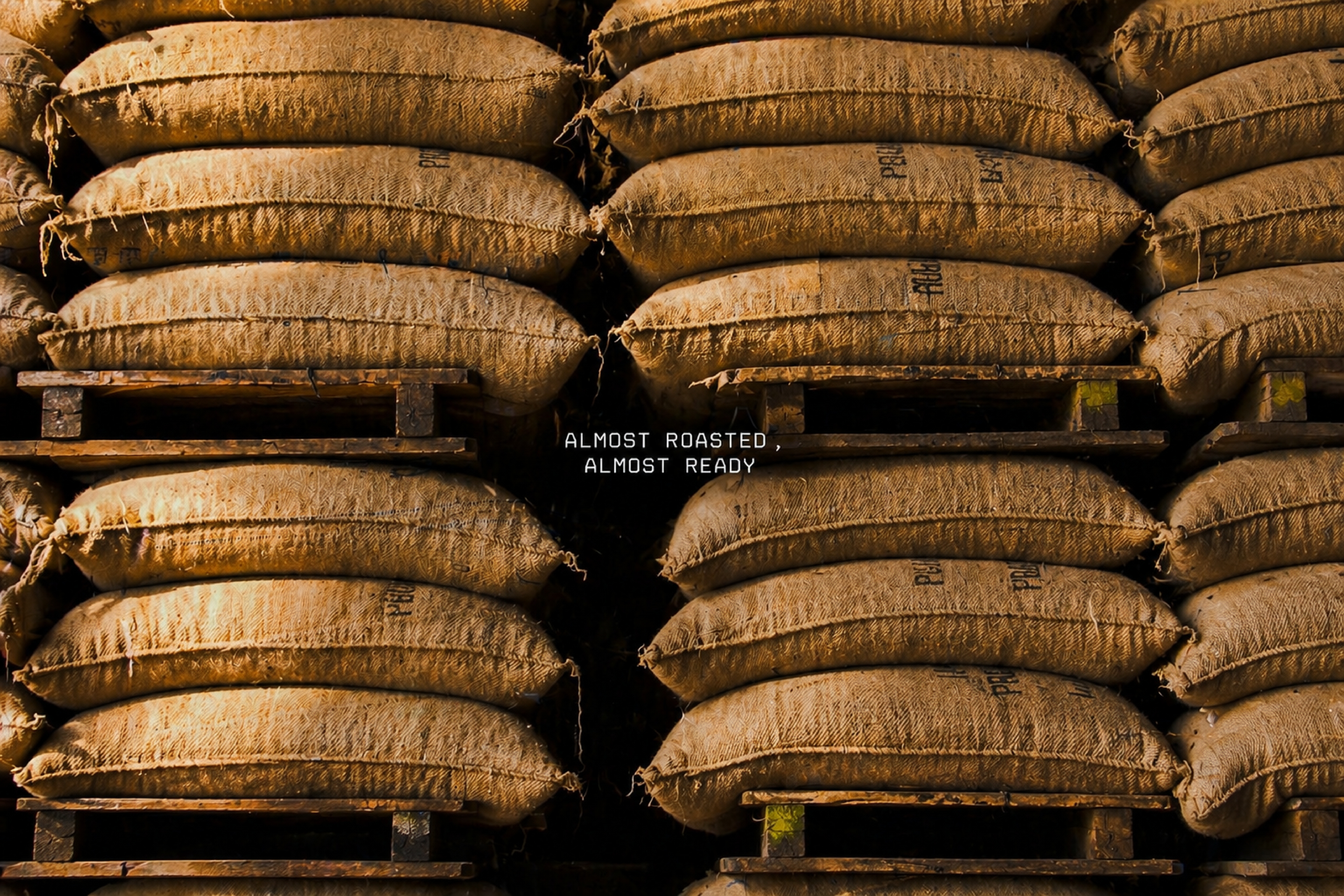 ruut.ae - Arabic Coffee Roastery Coming Soon